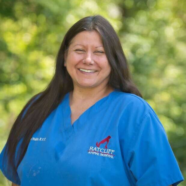 Amanda Registered Vet Tech and Staff Manager